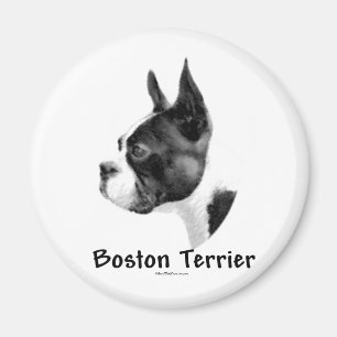 Boston Terrier Charcoal 2 - Magnet