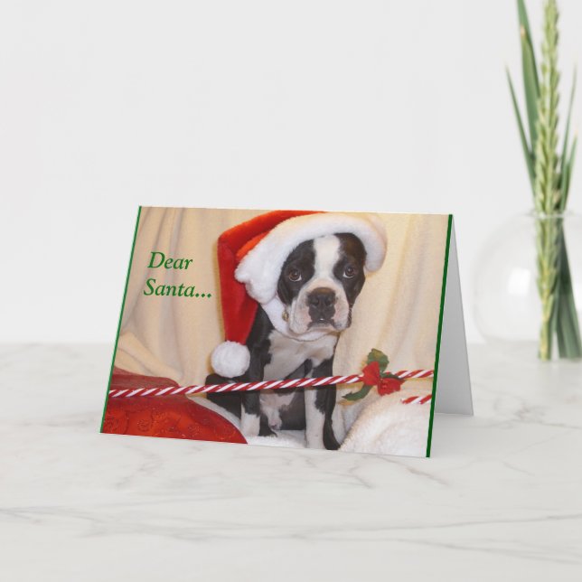Boston Terrier Christmas Card (Front)