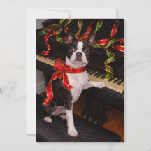 Boston Terrier Christmas Card – Festive Holiday