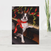 Boston Terrier Christmas Card – Festive Holiday