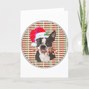 Boston Terrier Christmas Holiday Card
