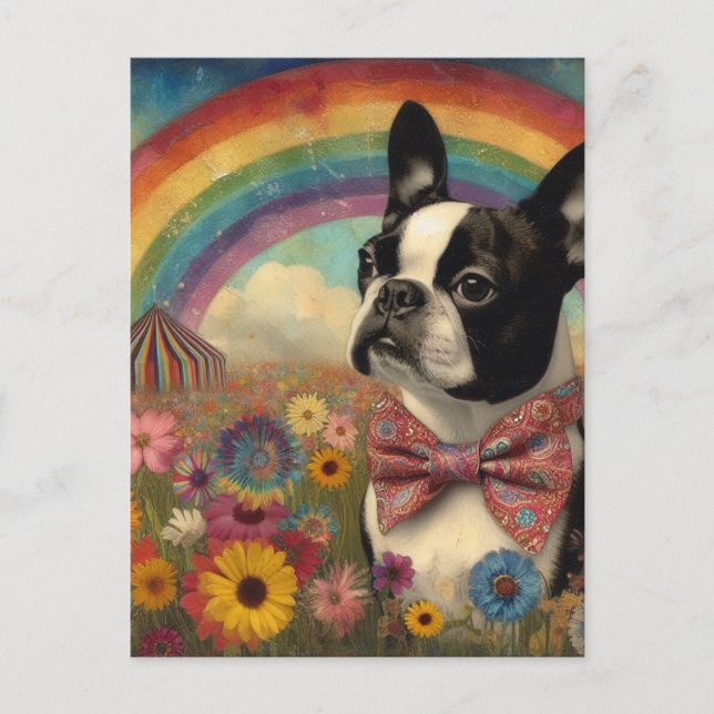 Boston Terrier Circus Hippie Rainbow Postcard (Front)