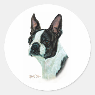 Boston Terrier Classic Round Sticker