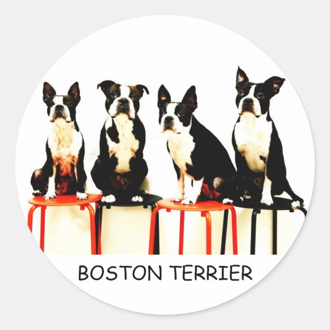 BOSTON TERRIER CLASSIC ROUND STICKER (Front)