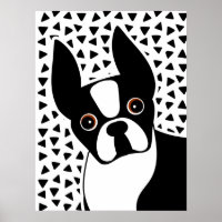 Boston Terrier Cute Black and White