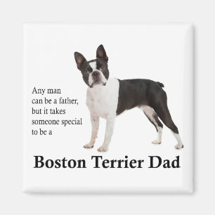Boston Terrier Dad Magnet
