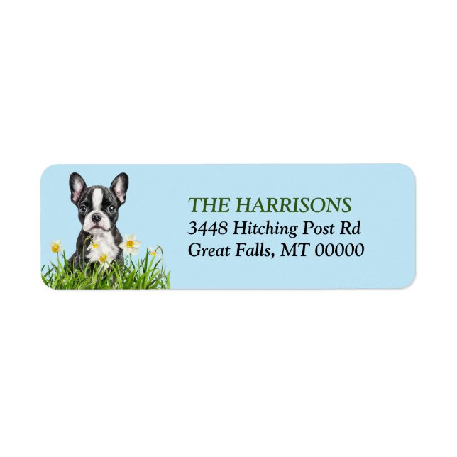 Boston Terrier Daffodil Garden Return Address Label (Front)