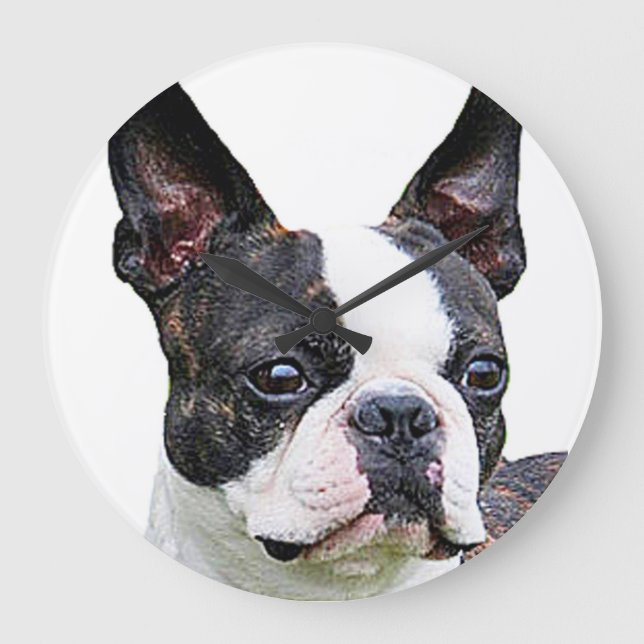 "Boston terrier" design wall clocks (Front)