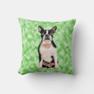 Boston Terrier Dog Art Portrait Cushion