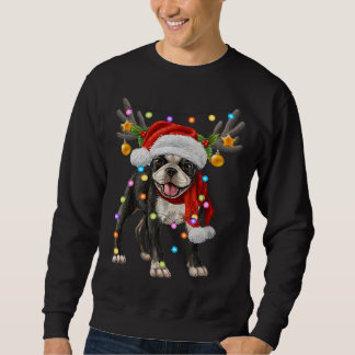 Boston terrier dog Christmas lights Xmas dog lover Sweatshirt