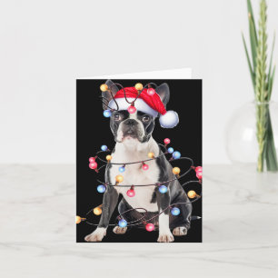 Boston Terrier Dog Christmas Lights Xmas Dog T Shi Card