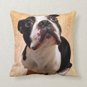 Boston Terrier Dog Cushion