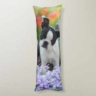 Boston Terrier Dog Cute Puppy, cuddly Body Cushion