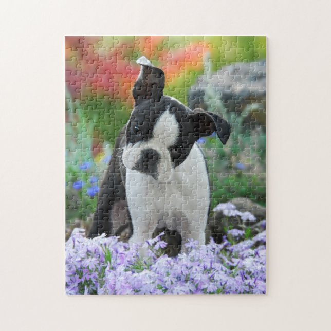 Boston Terrier Dog Cute Puppy Game 11x14 Jigsaw Puzzle (Vertical)