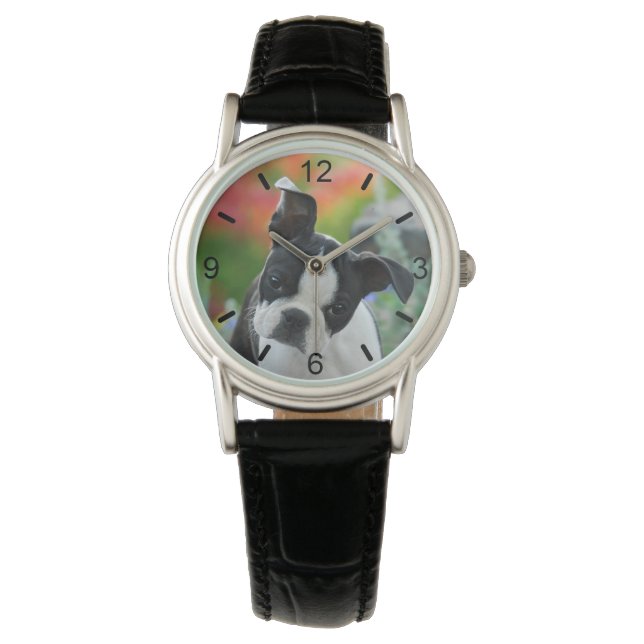 Boston Terrier Dog Cute Puppy Head -- dial-plate Watch (Front)