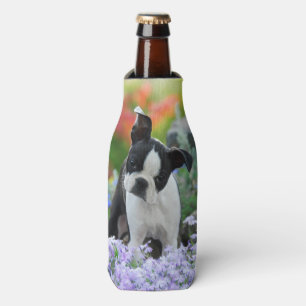 Boston Terrier Dog Cute Puppy Photo, Bottle-Jacket