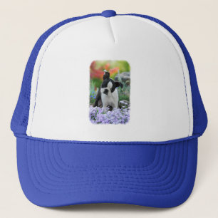 Boston Terrier Dog Cute Puppy Portrait Photo - Trucker Hat