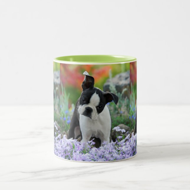 Boston Terrier Dog Cute Puppy Portrait Photo _ Two-Tone Coffee Mug (Center)