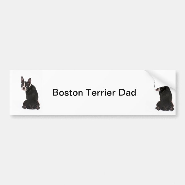 Boston Terrier Dog Dad Bumper Sticker (Front)