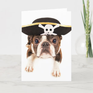 Boston Terrier Dog Dressed As A Pirate Card