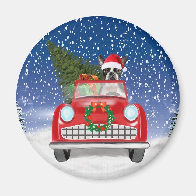 Boston terrier Dog Driving Car In Snow Christmas Magnet (Front)