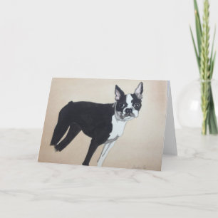 Boston Terrier dog greeting card
