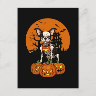 Boston Terrier Dog Halloween Holiday Postcard