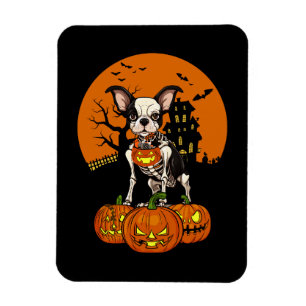 Boston Terrier Dog Halloween Magnet