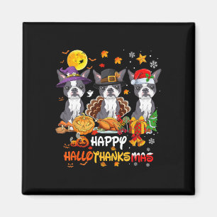 Boston Terrier Dog Happy Halloween Thanksgiving Ch Magnet