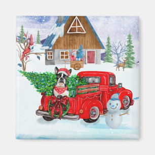 Boston Terrier dog In Christmas Delivery Truck Magnet