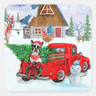 Boston Terrier dog In Christmas Delivery Truck Square Sticker