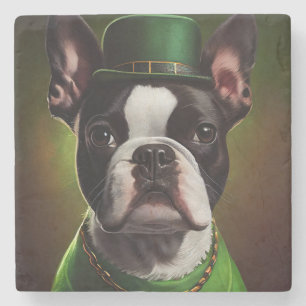 Boston Terrier dog in St. Patrick's Day Dress Stone Coaster