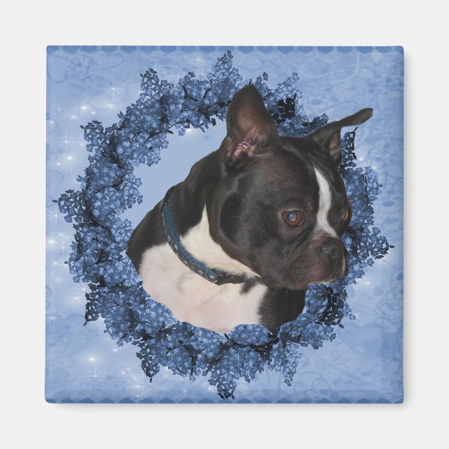 Boston Terrier Dog Magnet (Front)