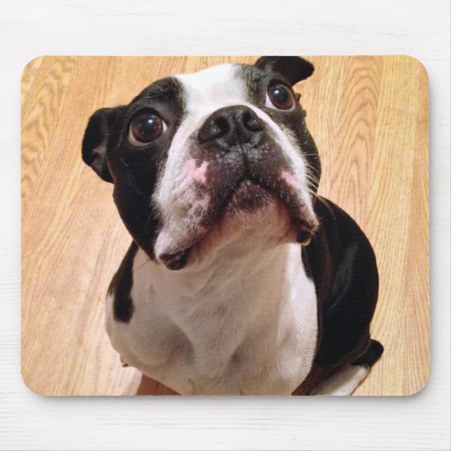 Boston Terrier Dog Mouse Pad (Front)