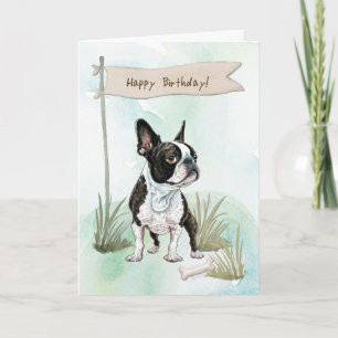 Boston Terrier Dog Outdoors Under Birthday Sign Card