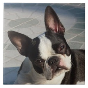 BOSTON TERRIER DOG, Pet Love, Best Friend Ceramic Tile