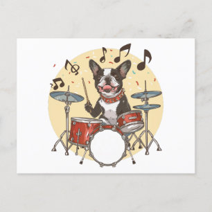 Boston Terrier Dog Playing Drums Postcard