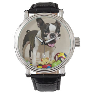 Boston Terrier Dog Playing with Toys Watch