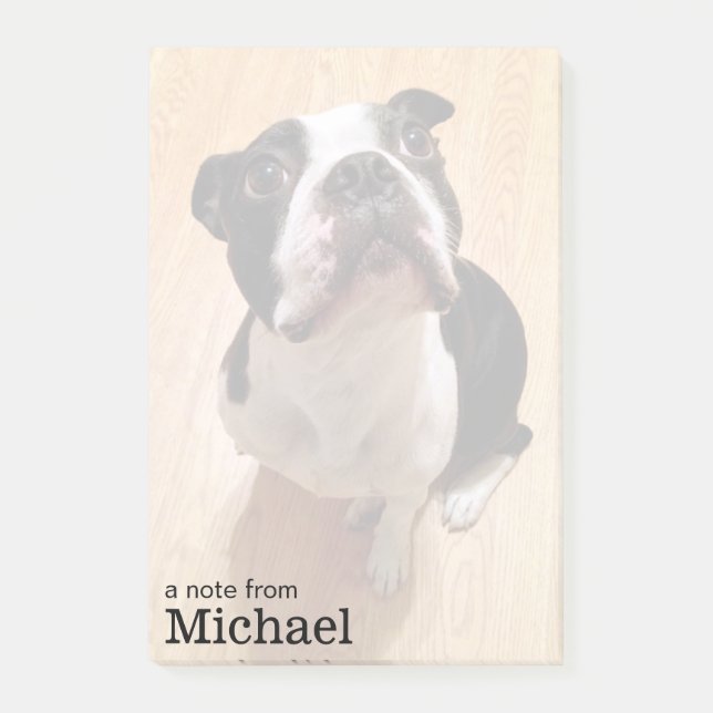 Boston Terrier Dog Post-it Notes (Front)