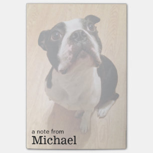 Boston Terrier Dog Post-it Notes