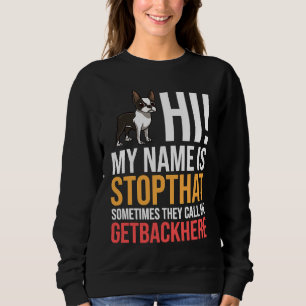 Boston Terrier Dog Puppies Owner Sweatshirt