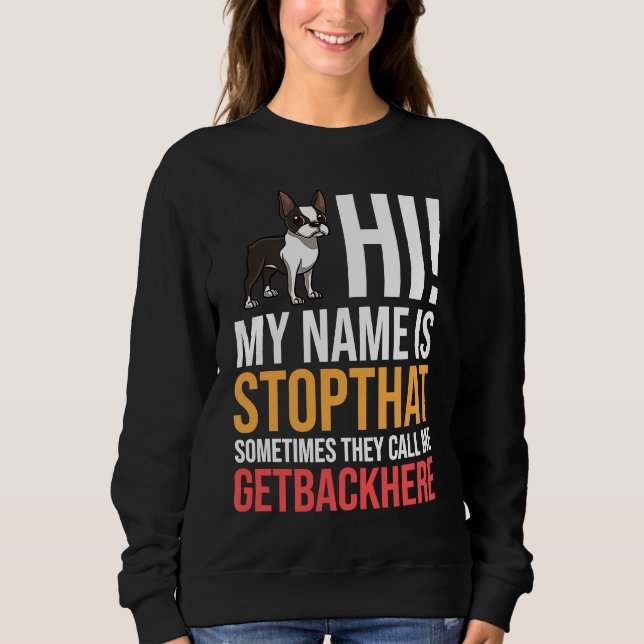 Boston Terrier Dog Puppies Owner Sweatshirt (Front)
