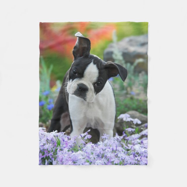Boston Terrier Dog Puppy comfy Fleece Blanket (Front)
