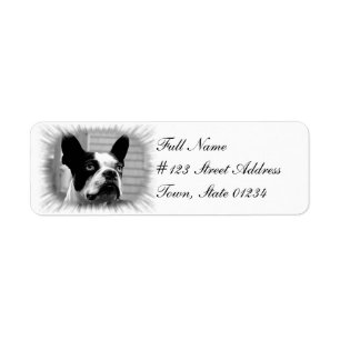 Boston Terrier Dog Return Address Label