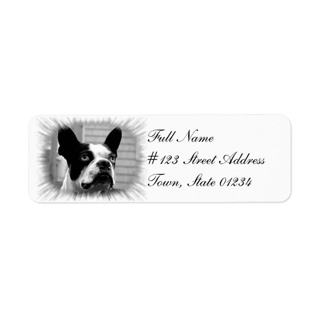 Boston Terrier Dog Return Address Label (Front)