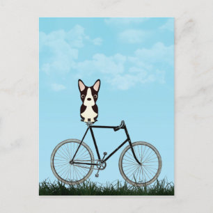 Boston Terrier Dog Sitting on Vintage Bicycle Postcard