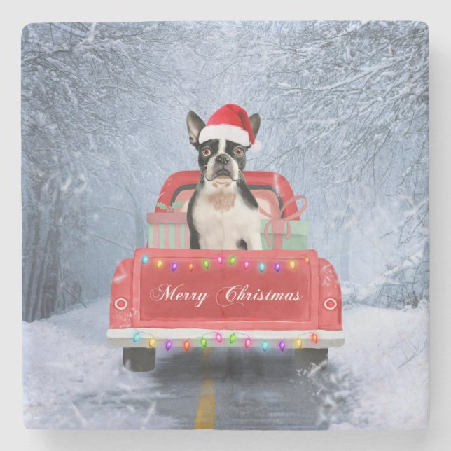 Boston Terrier Dog Snow sitting in Christmas Truck Stone Coaster (Front)
