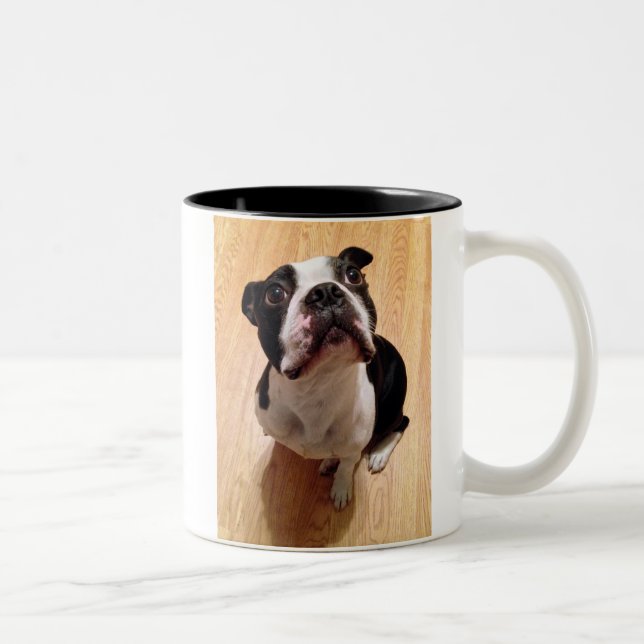 Boston Terrier Dog Two-Tone Coffee Mug (Right)