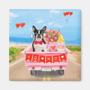 Boston Terrier Dog Valentine's Day Truck Hearts Magnet