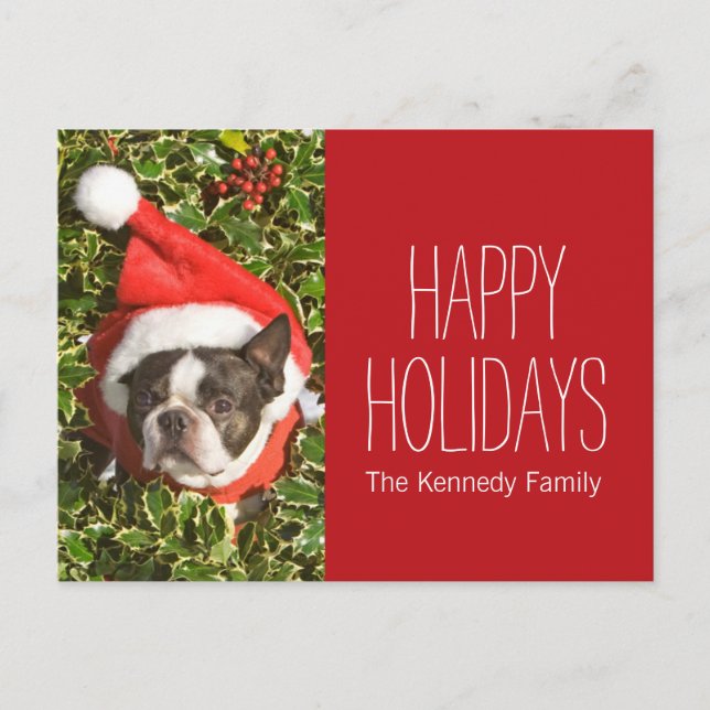 Boston Terrier dog wearing a Christmas wreath Holiday Postcard (Front)